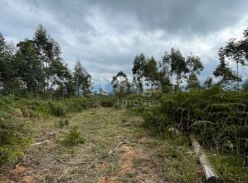 Rural · 20000m² · Terreno para sítio à venda em Nova Trento