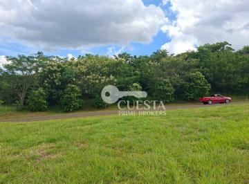 e8106e569c79dc88693e39452c911f5cebb1d519 · Terreno à venda, 450 m² por R$ 48.000,00 - Condomínio Ninho Verde II - Pardinho/SP