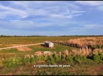 Rural , Santa Rosa do Tocantins · Oportunidade fazenda em santa rosa-TO pronta só administração agora.