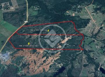 Terreno · 1150000m² · Grande Terreno 115 hectares na MT-402