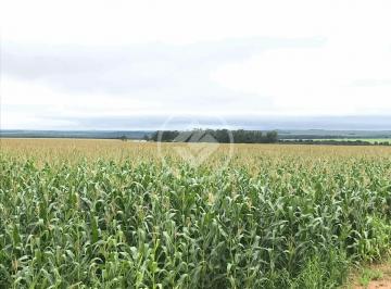 Rural · 3275m² · fazenda em nova mutum - sentido campo novo do parecia