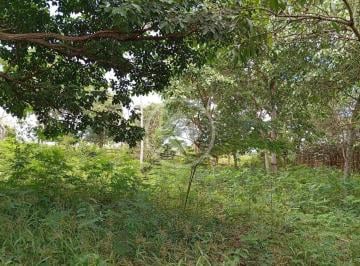 Rural · 17839m² · vende chácara na comunidade ninho das aguas em livramento,