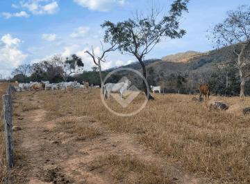 Rural · 91m² · Sítio 91ha região de Cáceres-MT  R$ 2.000.000,00