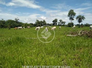 Imagem do WhatsApp de 2025-05-30 à(s) 08.06.21_eba7205e.jpg · Fazenda no Manso, próximo ao lago e a vila.