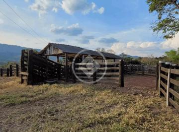 Rural · 125m² · Fazenda a venda município de Cáceres-MT R$ 7.000.000,00