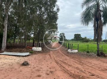 Rural · 39m² · # Oportunidade ...Sitio no Assentamento Caetés em Diamantino com 3 hectares , todo formado  PORTEIRA