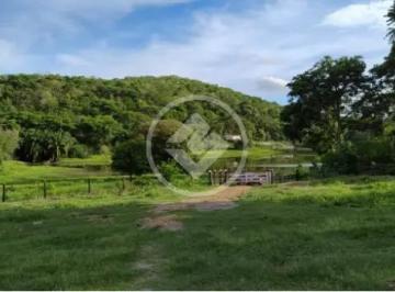Rural · 406m² · 2 Quartos · Fazenda 406 alqueires toda na pecuária formada toda no corredor