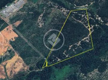 Captura de tela 2026-01-28 120413.png · Área A Venda - 18 Hectares - Localizado no Capão Grande