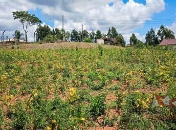 Rural , São José dos Pinhais · Chácara a Venda sem benfeitorias em São José dos Pinhais