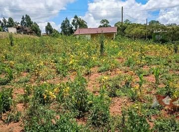 Rural , São José dos Pinhais · Chácara a Venda