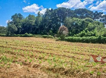 Rural de 3 quartos, São José dos Pinhais · Chácara a Venda