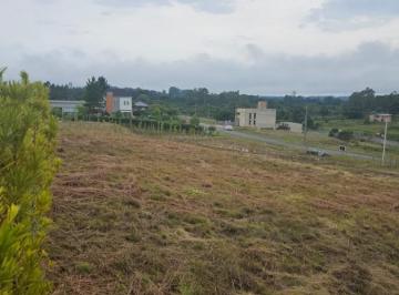 202602041903523829.jpg · Terreno em Condomínio para Venda em Curitiba, Centro