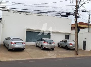 Garagem/estacionamento · Salão/Galpão (salão - térreo) , cozinha planejada