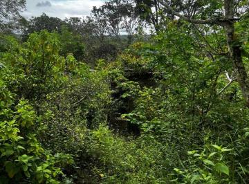 Rural , Brasília · CHÁCARA À VENDA – RUA 17 | ALTIPLANO LESTE