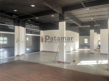Comercial · 1000m² · Prédio comercial na avenida Professor Francisco Morato