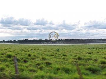 Sistema de irrigação natural com nascentes e 34 represas para gado e lavoura. · Fazenda 18.798 ha em Araguaína: Soja e Pecuária à Venda