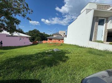 IMG_9128 · TERRENO RESIDENCIAL GOLDEN PARK 1
