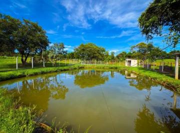 Rural · 44200m² · 6 Quartos · Sítio à Venda no Álvares Florence