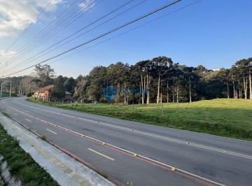 25056351_4.jpg · Terreno para construção de pavilhão com 8.116m²
