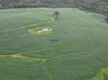 Foto 01 · Fazenda de 84 hectares na BR 116: invista em alta produtividade e valorização futura! Agende sua vis