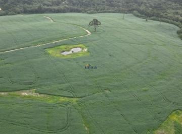 Foto 01 · Fazenda de 84 hectares na BR 116: invista em alta produtividade e valorização futura! Agende sua vis