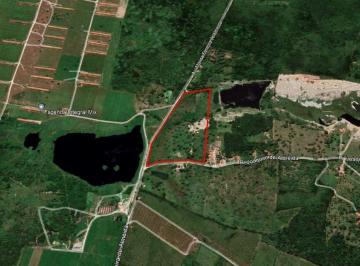 | Foto_migracao | 0 · Terreno à venda, 100000 m² por R$ 2.000.000,00 - Dourado - Horizonte/CE