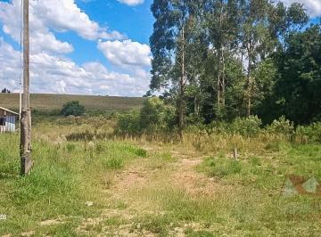 Rural , São José dos Pinhais · Chácara a Venda