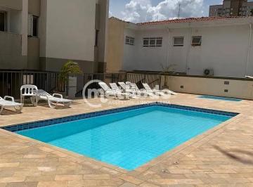 f3b05f15-1be8-46ae-9e74-1bd6188c58b91772121741368.jpeg · Apartamento à venda, São Bernardo, Campinas, SP