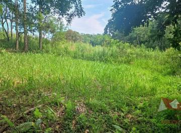 Rural , São José dos Pinhais · Chácara a Venda