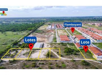 Terreno · 4800m² · Vende-se Lotes em Parnamirim-RN