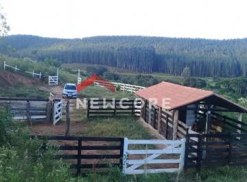 Rural · 50m² · Fazenda em Rodovia Vital Brasil - Lberdade - Mg - Liberdade - MG - Liberdade/MG