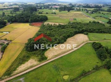 Rural · 37000m² · 1 Quarto · 1 Vaga · Sítio em Nova Veneza - Centro - Nova Veneza/SC