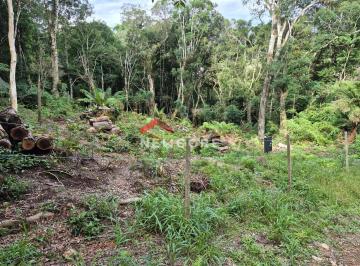 Terreno · 715m² · Lote em Rua Jasmins - Colinas - São Francisco de Paula/RS