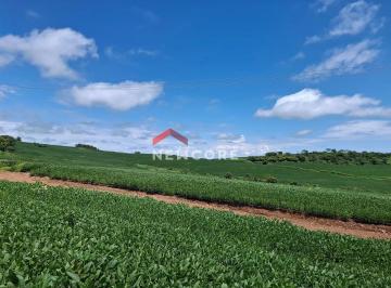 Rural · 387200000m² · Sítio em  Estrada Ribeirão Barra Bonita - Primeiro de Maio - Pr - Rural - Primeiro de Maio/PR