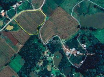 a4459951fa74641b2c1696265278fad6cbadeba3 · Área à venda, 17000 m² por R$ 199.000,00 - Área Rural de Caçador - Caçador/SC
