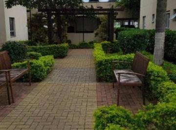 f61a577c368403e9ef83d62aebbc21404a29ea77 · Apartamento com 2 dormitórios à venda, 49 m² por R$ 320.000,00 - Vila Antonieta - São Paulo/SP