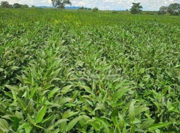 5ac60038e86445e567daecdd1c33d951d2fd5cb8 · Fazenda com 4 dormitórios à venda, 22280000 m² por R$ 70.700.000,00 - Zona Rural - São João da Alian