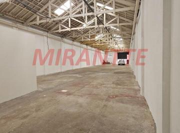 ead65765415a9c7d9a6baa50e961f7f4.jpg · Galpao de 500m²