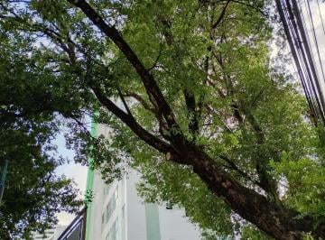Apartamento para locação no MARIA ZILDA, GRAÇAS, Recife, PE · Apartamento para locação no MARIA ZILDA, GRAÇAS, Recife, PE