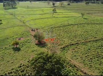 Rural · 1234200m² · 4 Quartos · Fazenda à Venda em São Francisco de Sales MG | 123 Hectares