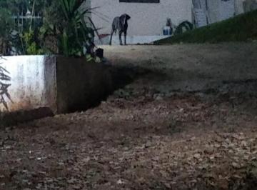 Rural · 140m² · 2 Quartos · 6 Vagas · Chácara em Zona Rural, Cosmópolis/SP de 140m² 2 quartos à venda por R$ 450.000,00