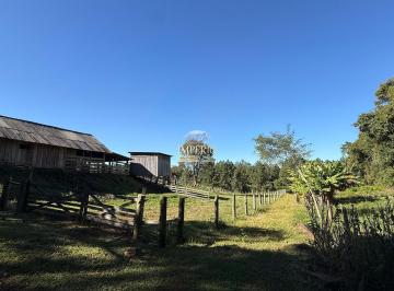 Foto 14 · Oportunidade única: Sítio de 2,60 hectares à venda na Figueira, Três Coroas-RS!