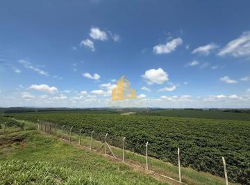 Rural · 6400000m² · Rurais à venda - em Machado