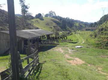 Foto 01 · LINDO TERRENO COM 3 HECTARES À VENDA EM RANCHO QUEIMADO/SC