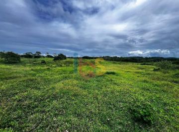 Imagem 1 · Fazenda