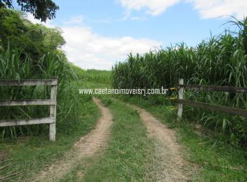 Rural de 6 quartos, Cachoeiras de Macacu · Fazenda Produtiva de 8 Alqueires - C/ Excelente Localização