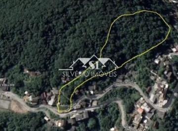 Foto-Imovel-ID068462No0001-terreno-simeria-petropolis--1772453422872.jpeg · Imoveis - em Simeria