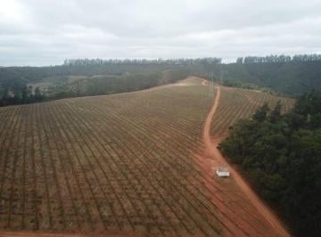 Rural de 3 quartos, Capelinha · Fazenda de café de porteira fechada