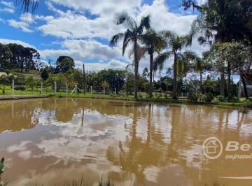 Imagem 1 · Sítio para venda em Centro, Campo Alegre