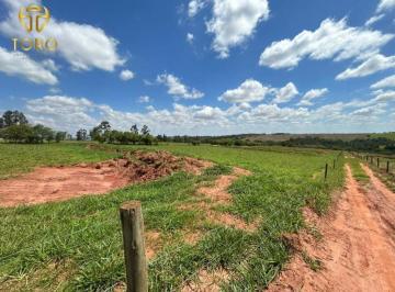 Rural · 60500m² · VENDA | Sítio,  em Centro, Nova Esperança